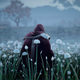 Assassin’s Creed: Valhalla